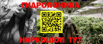 экстази Обь